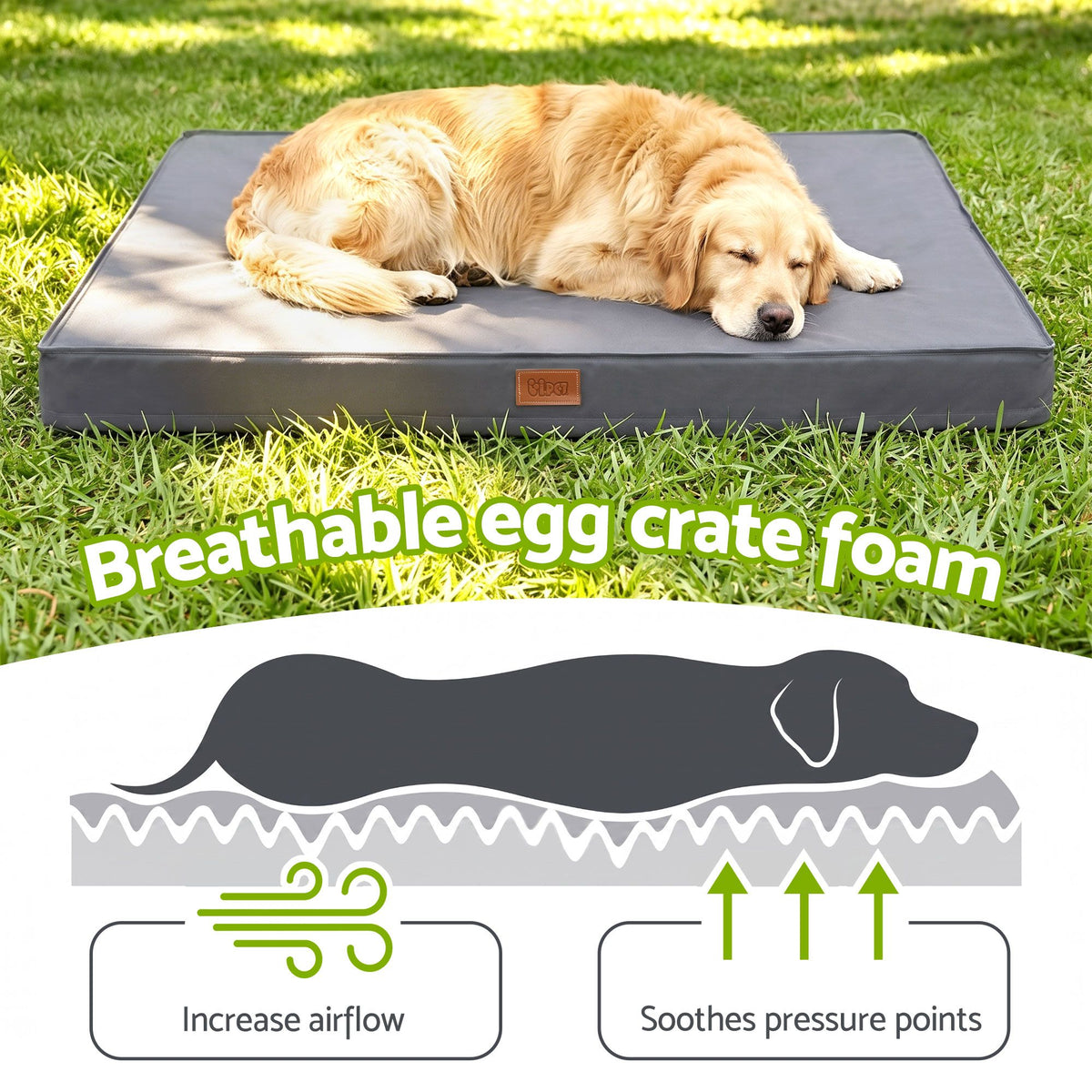 i.Pet Dog Bed XL Water-resistant Egg Crate Foam Orthopedic Pet Mat