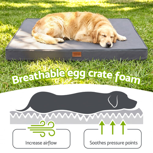 i.Pet Water Resistant Orthopedic Dog Bed, XL, shown in a real setting, photo 2 of 6