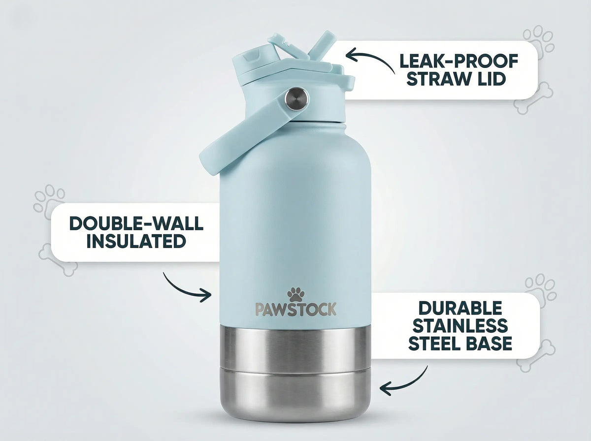 Pawstock 3-in-1 Insulated Dog Water Bottle