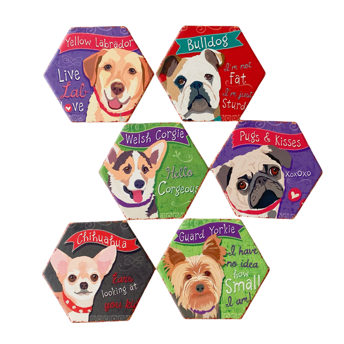 Drink Coasters Set of 6 with Holder,Cute Dog Absorbent Ceramic