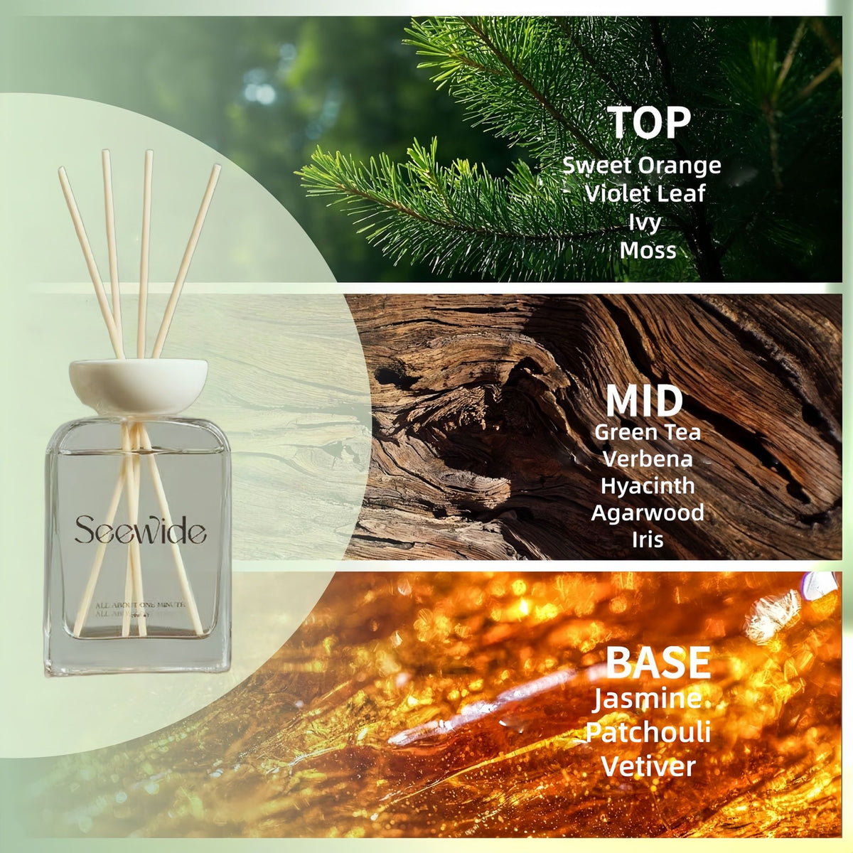 Reed Diffuser, Long-Lasting Home Fragrance & Scent Diffuser
