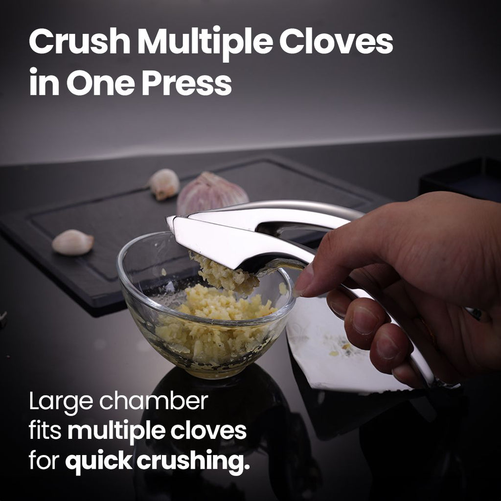 Gourmet Easy Stainless Steel Garlic Press, Coarse Mince