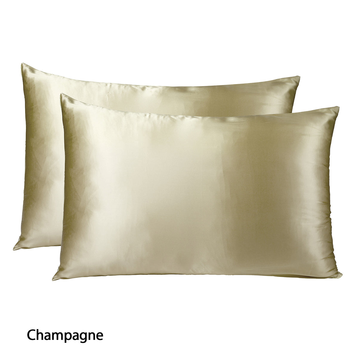 Royal Comfort Mulberry Soft Silk Hypoallergenic Pillowcase Twin Pack 51 x 76cm