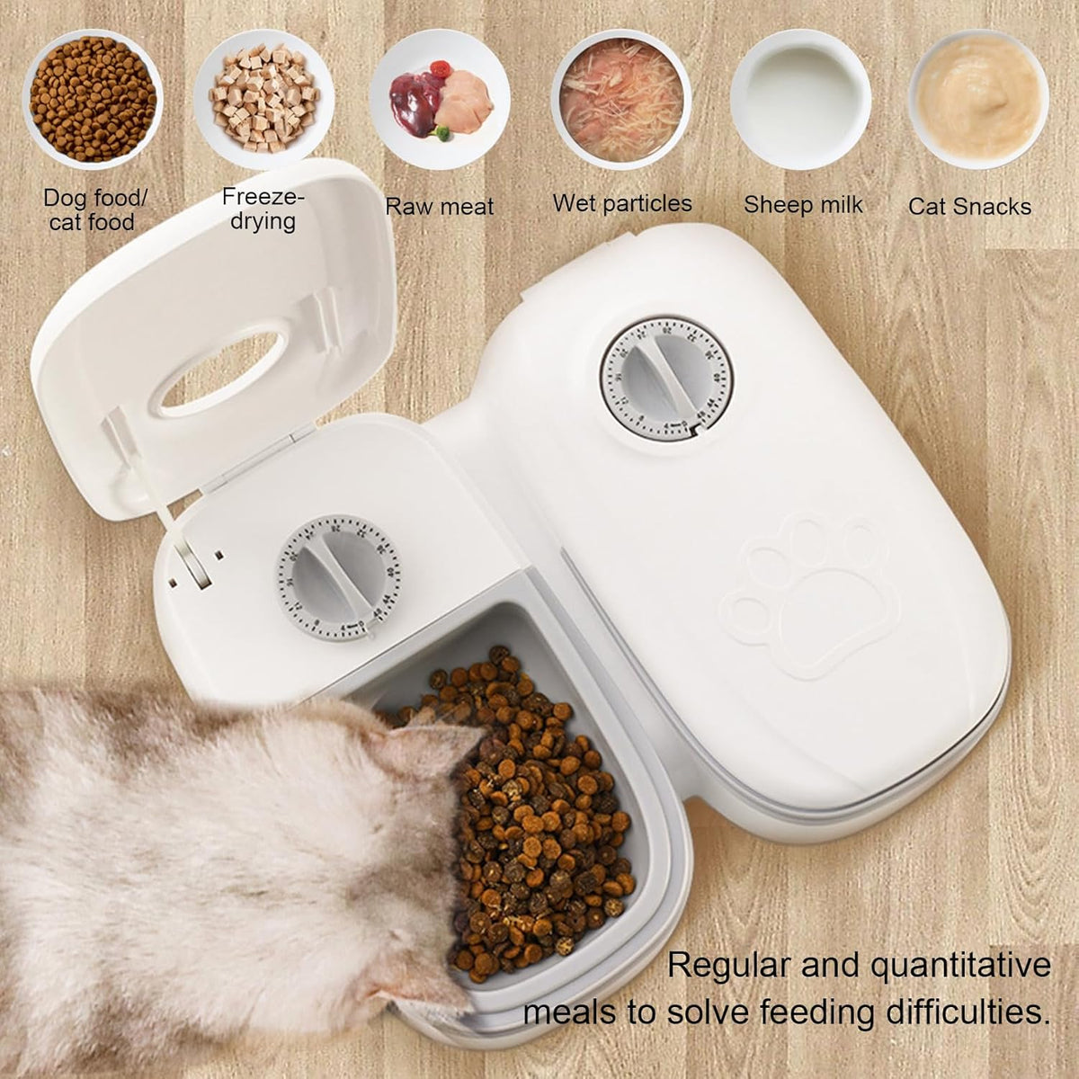 CARLA HOME 2 Meal Automatic Pet Feeder with Timer