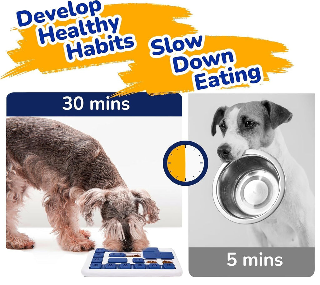 CARLA HOME Interactive Dog Puzzle Slow Feeder, shown in a real setting