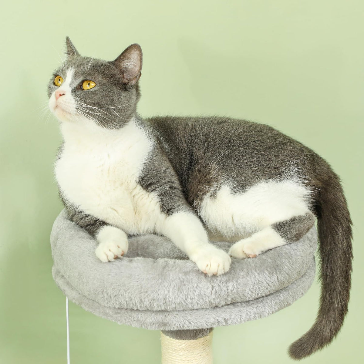 CARLA HOME Large Cat Tree Tower for Indoor Cats with Plush Perch