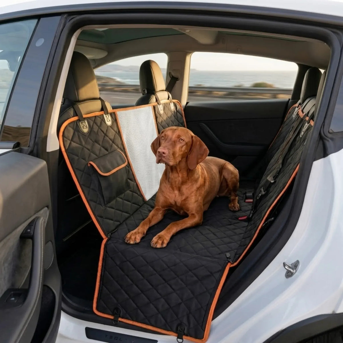 CARLA HOME Waterproof Dog Car Seat Cover Hammock