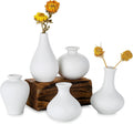 VIKUS Small White Ceramic Vases, Set of 5