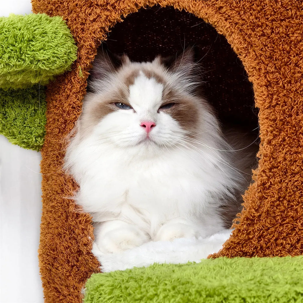 Large Multi-Level Cat Tree Tower in Green & Brown