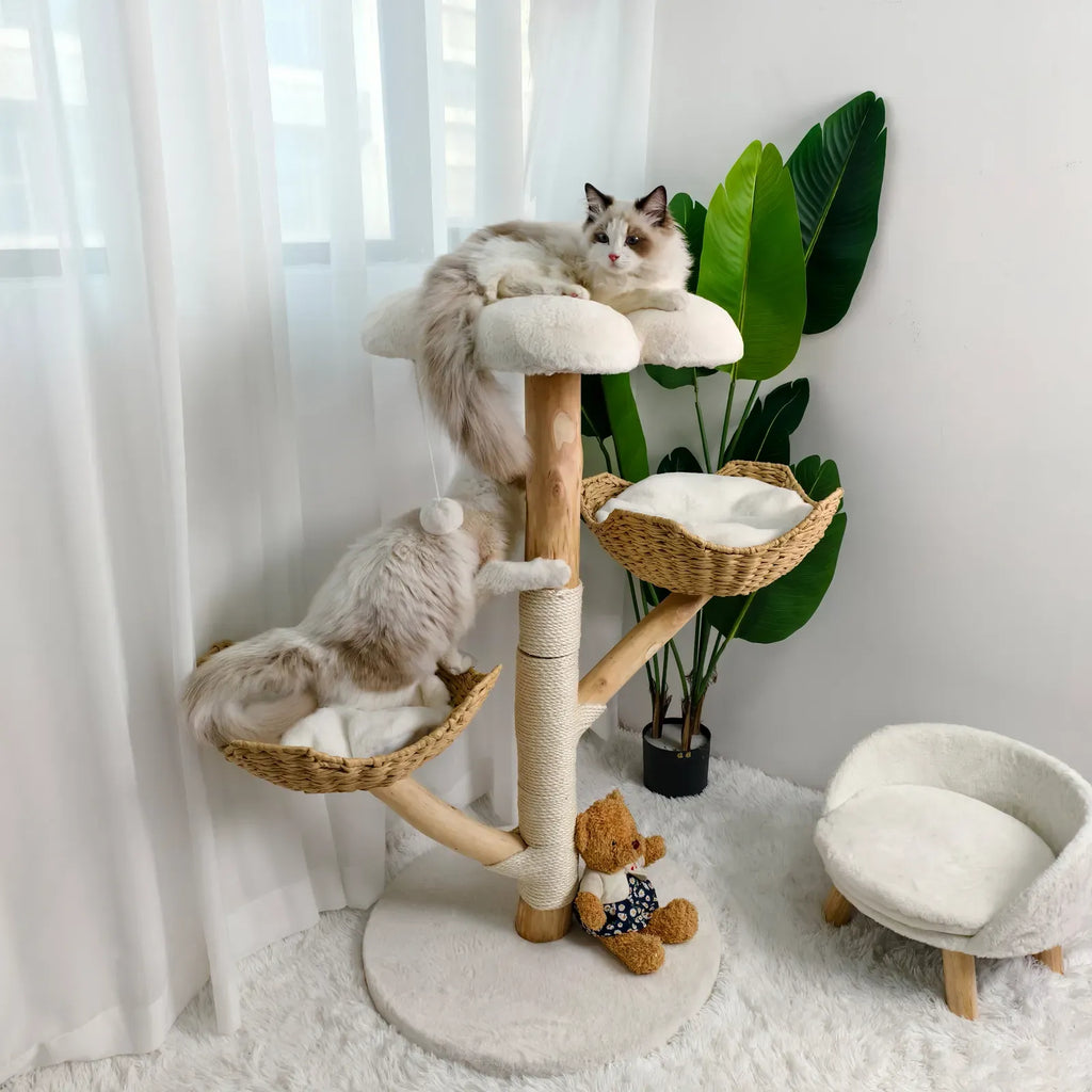 Real Wood Cat Tree Tower in Natural Wood for Indoor Cats Up to 10KG