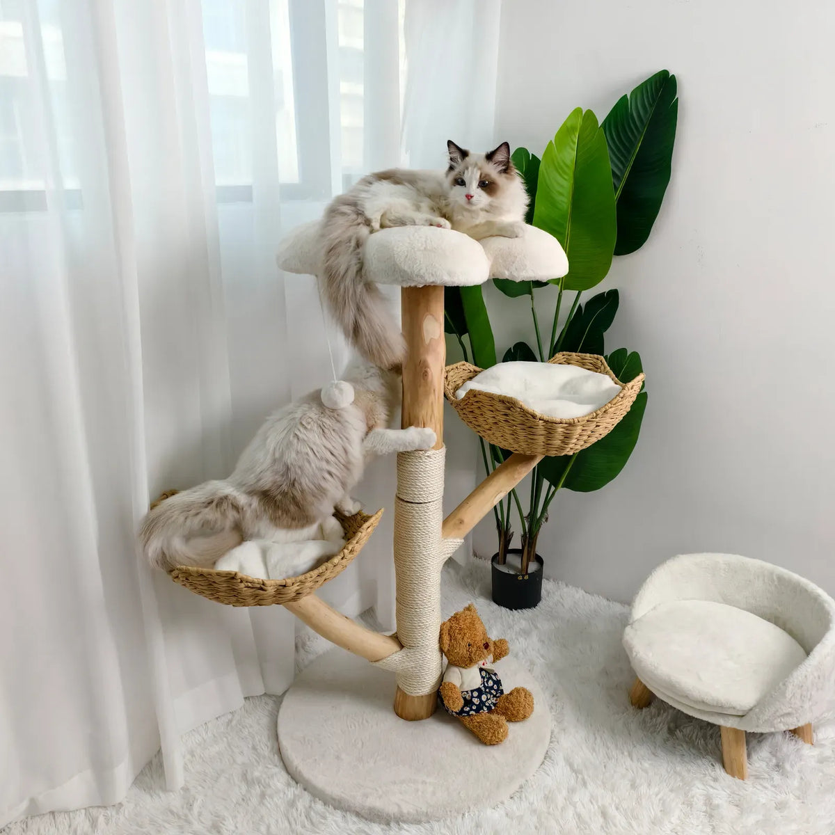 Real Wood Cat Tree Tower in Natural Wood for Indoor Cats Up to 10KG