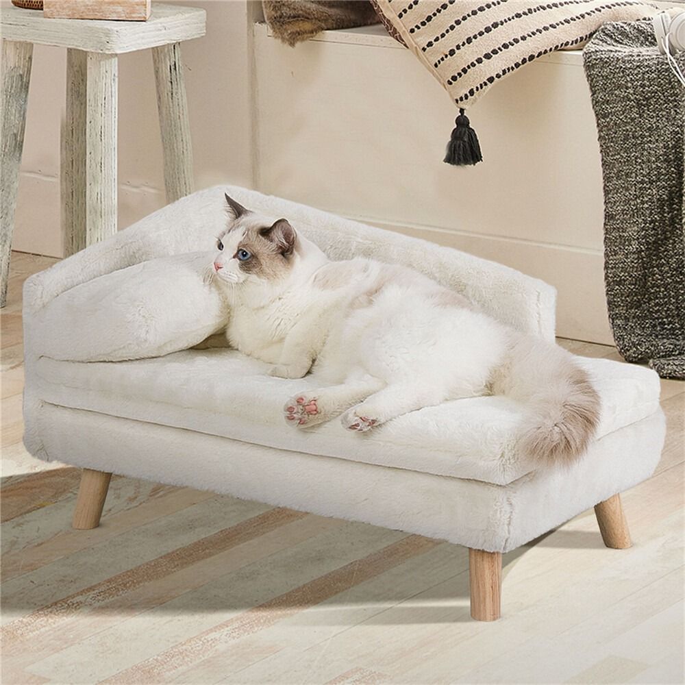 GENUX Raised Pet Sofa Bed, 70 x 40 x 39 cm, shown in a real setting