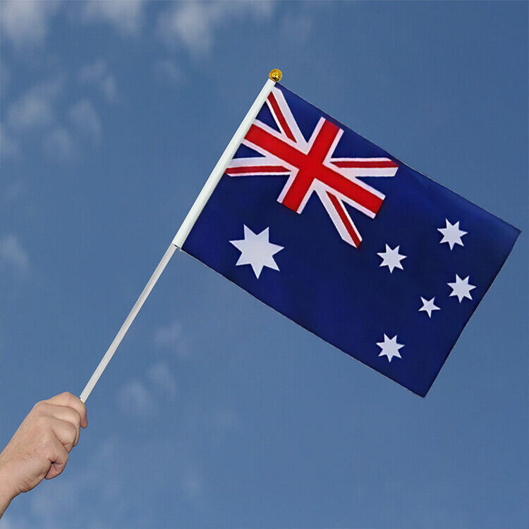Small Waver Hand Held Aussie Flags Party Supplies Banner AU 8pcs