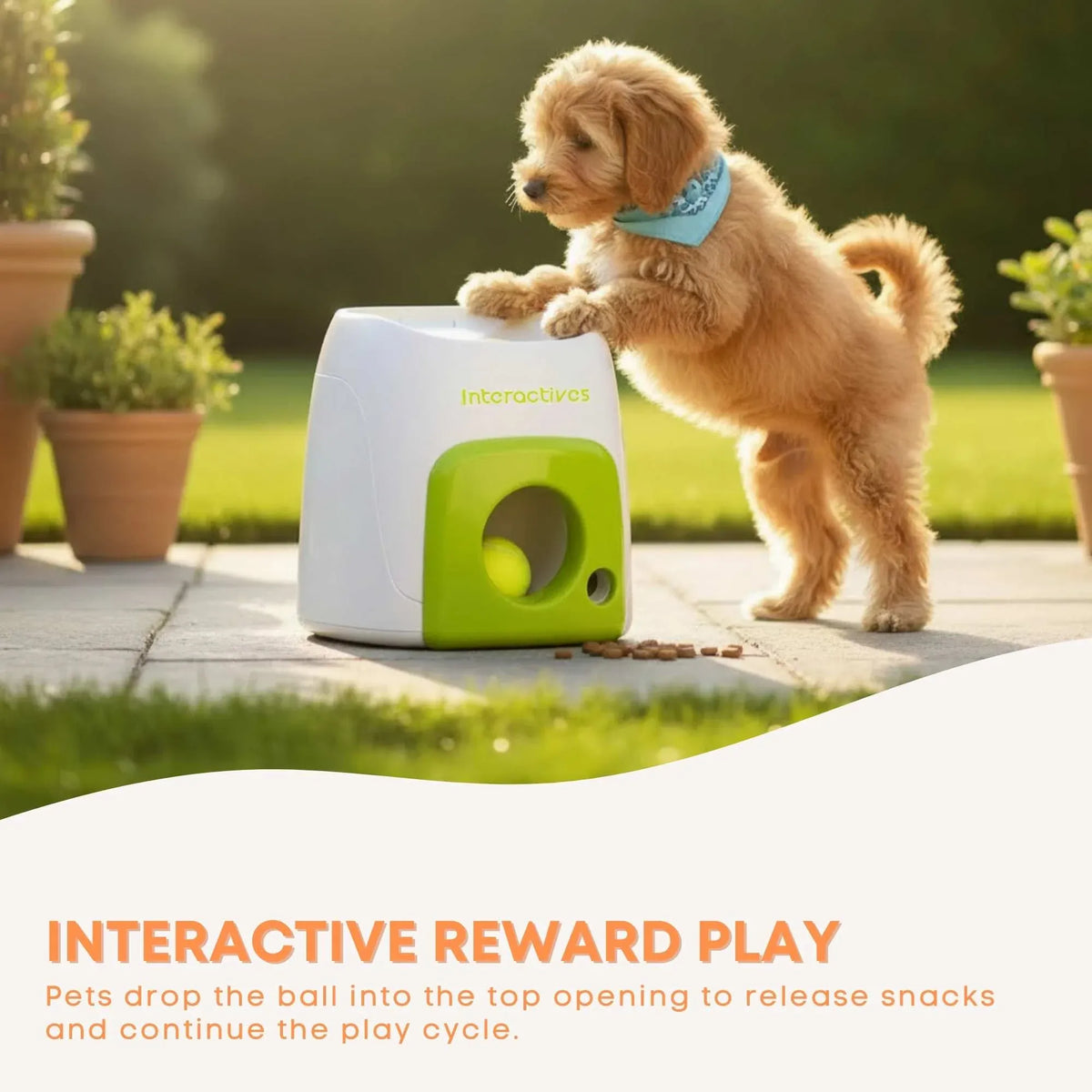 AFP Interactive Treat Reward Dog Toy