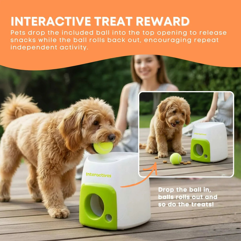 AFP Interactive Treat Reward Dog Toy