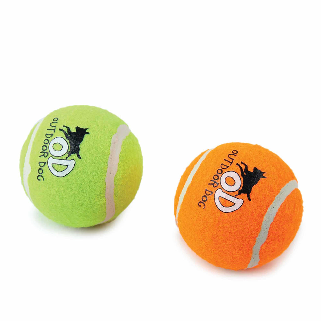 6 Pack Squeaking Tennis Ball
