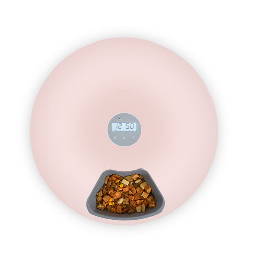 6 Meal Automatic Pet Dog Cat Food Feeder Dispenser