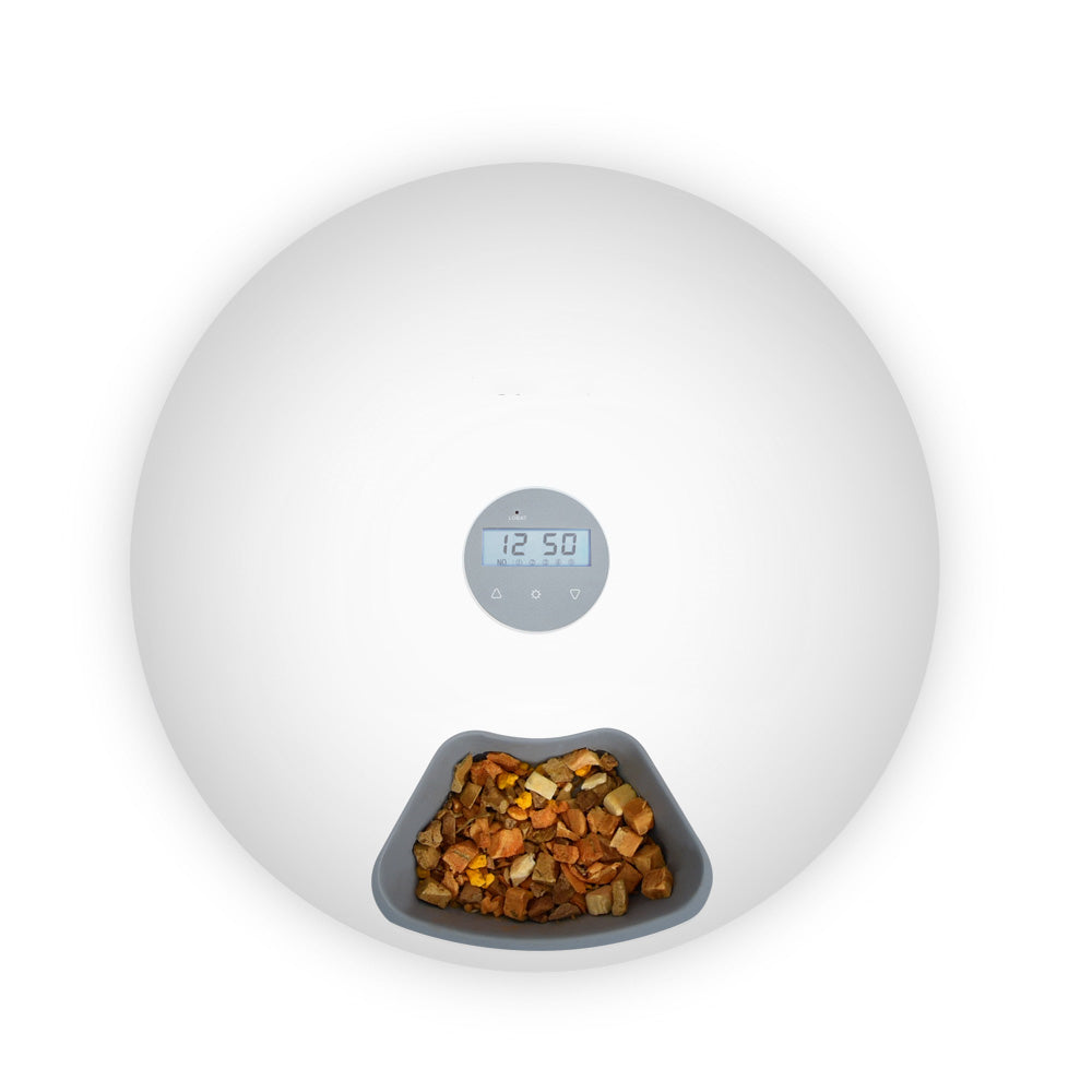 6 Meal Automatic Pet Dog Cat Food Feeder Dispenser
