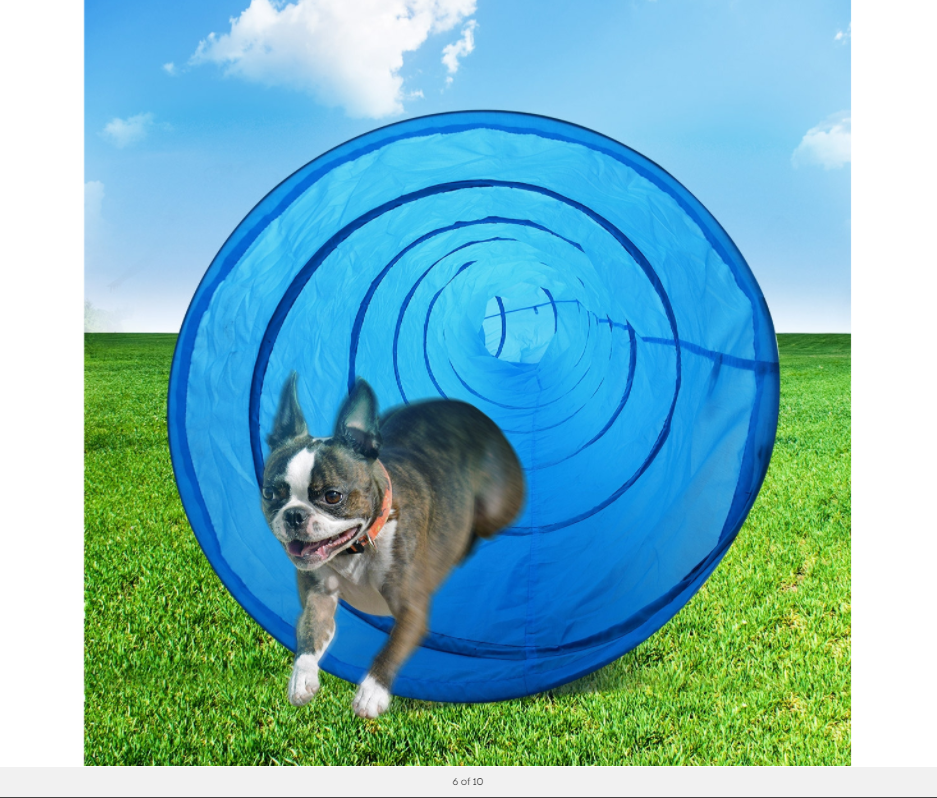 YES4PETS Portable Pet Dog Agility Training Exercise Cat Tunnel Chute