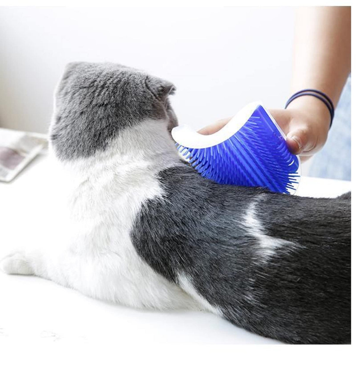 Cat Self Groomer Catnip Dog Cat Toy Corner Groomer Wall Corner
