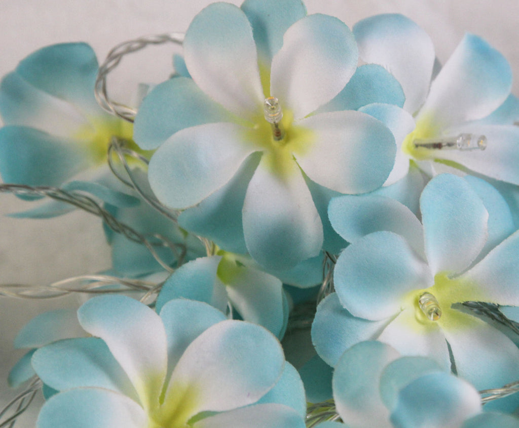 1 Set of 20 LED Tropical Blue Frangipani Flower Battery 3m String