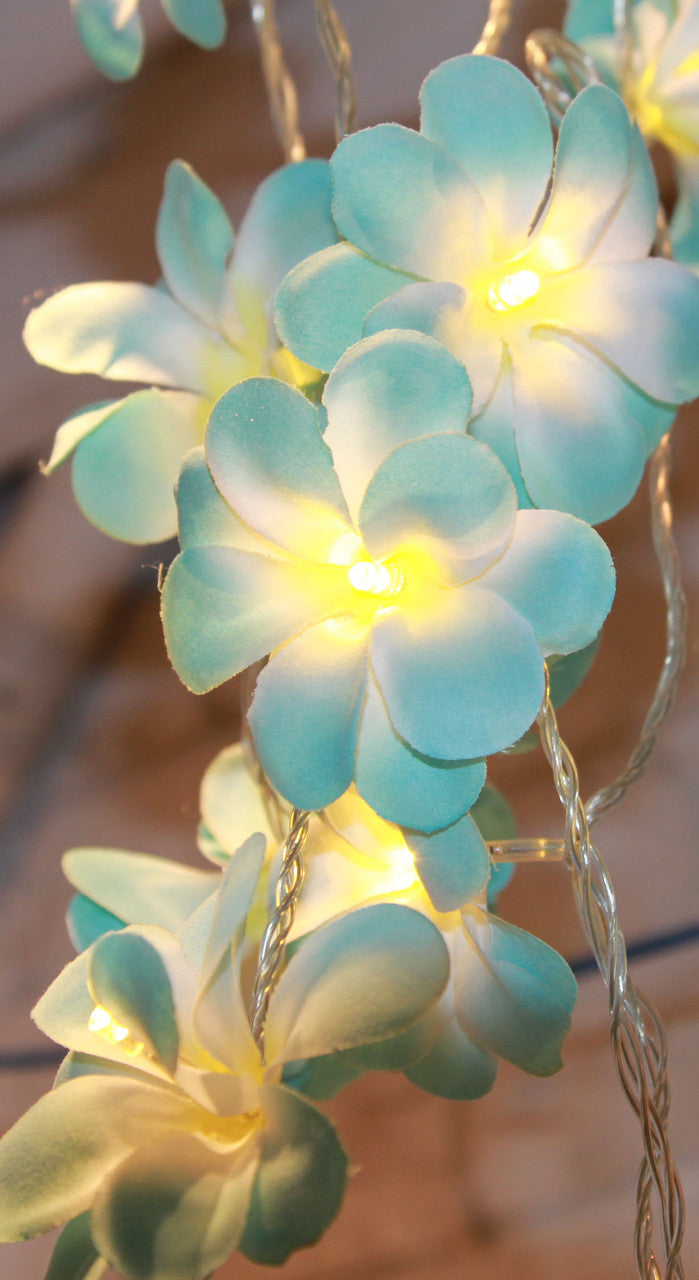 1 Set of 20 LED Tropical Blue Frangipani Flower Battery 3m String