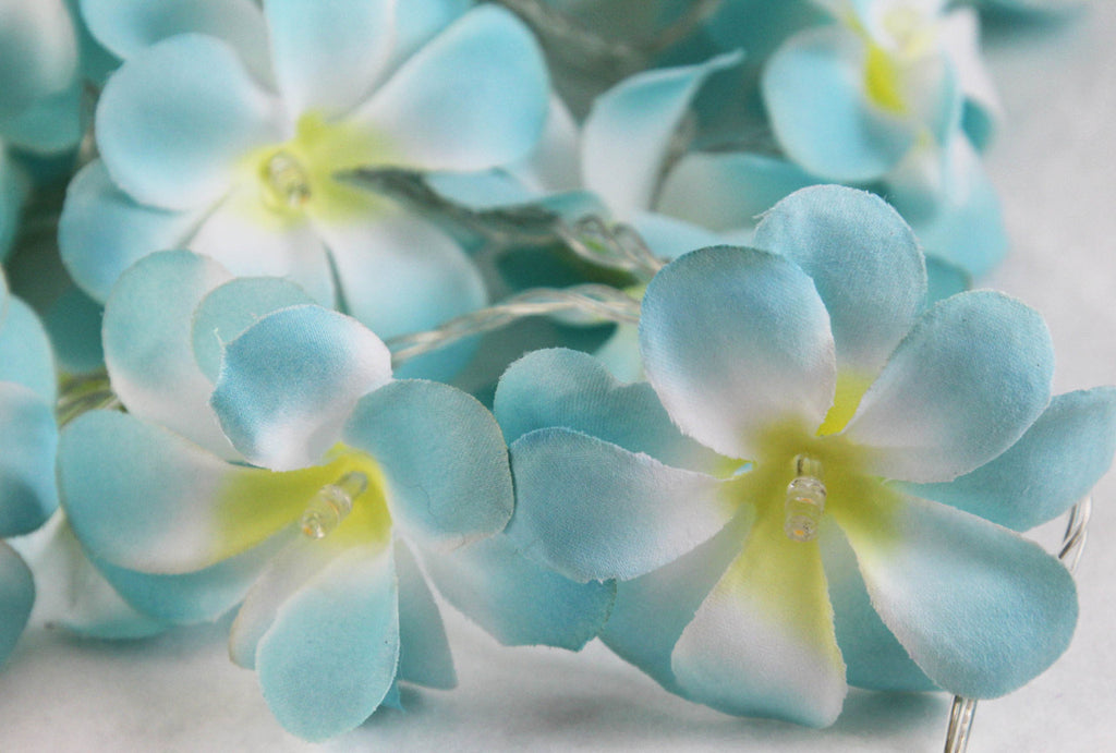 1 Set of 20 LED Tropical Blue Frangipani Flower Battery 3m String