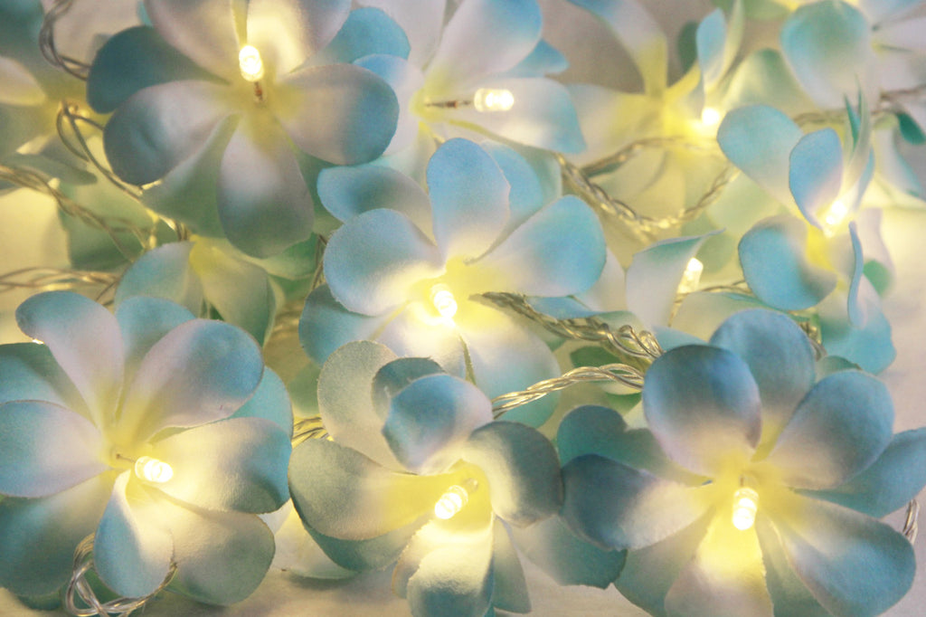 1 Set of 20 LED Tropical Blue Frangipani Flower Battery 3m String