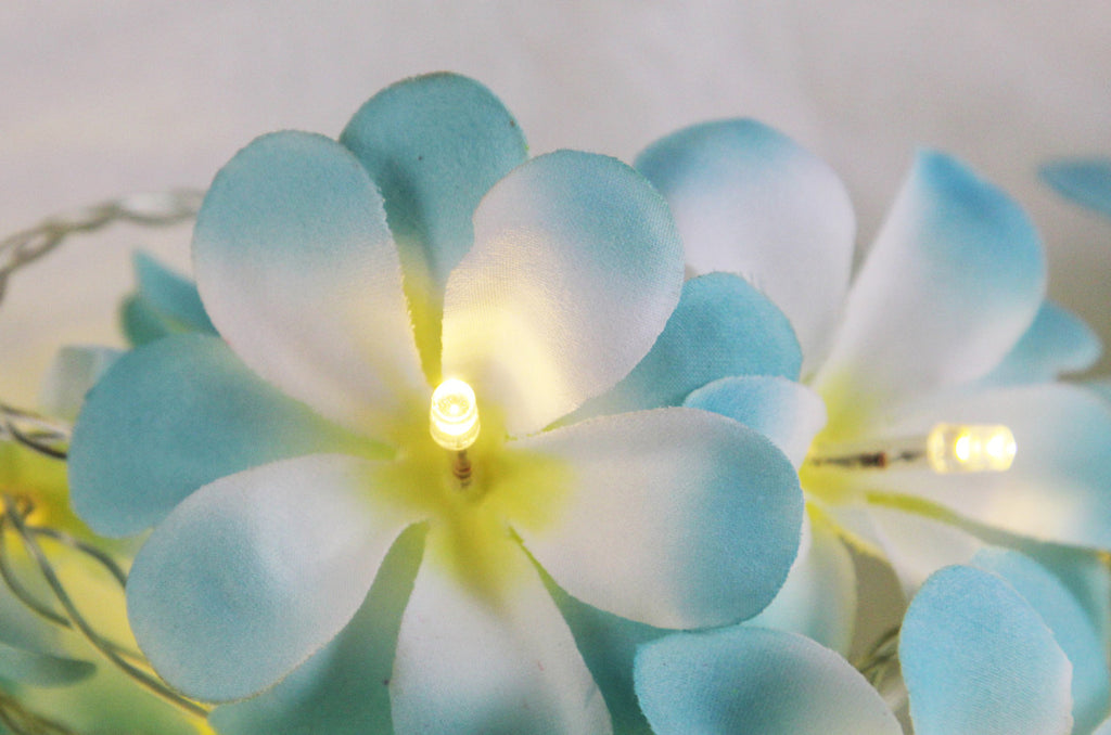 1 Set of 20 LED Tropical Blue Frangipani Flower Battery 3m String
