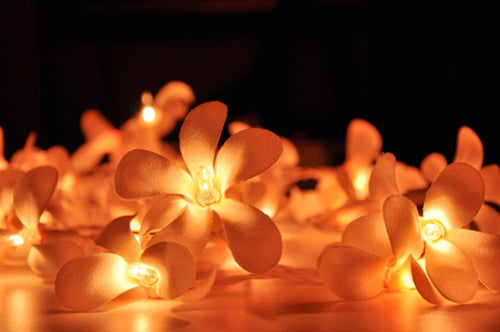 1 Set of 20 LED Orange Frangipani Flower Battery String Lights