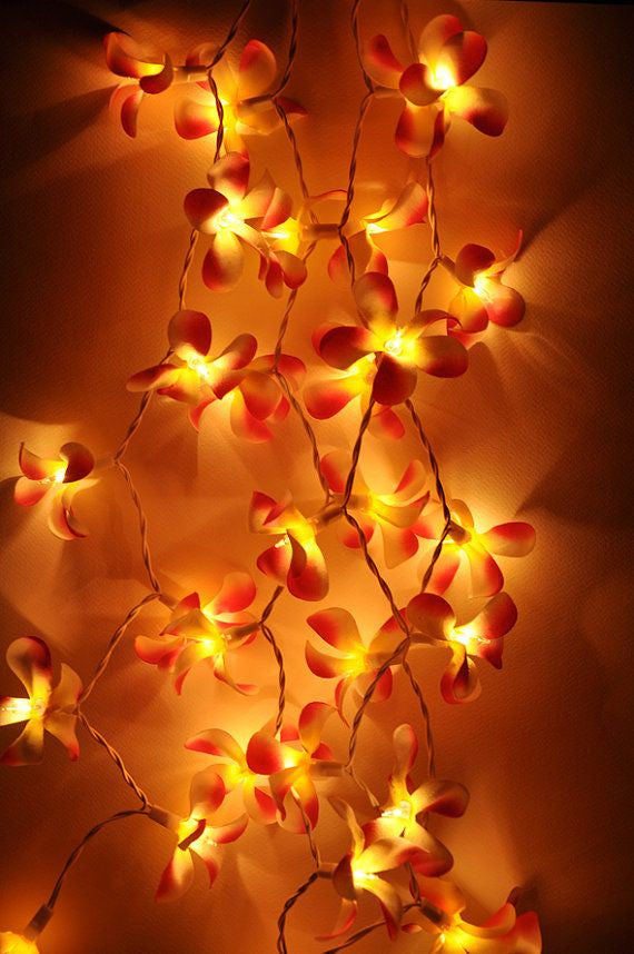 1 Set of 20 LED Orange Frangipani Flower Battery String Lights