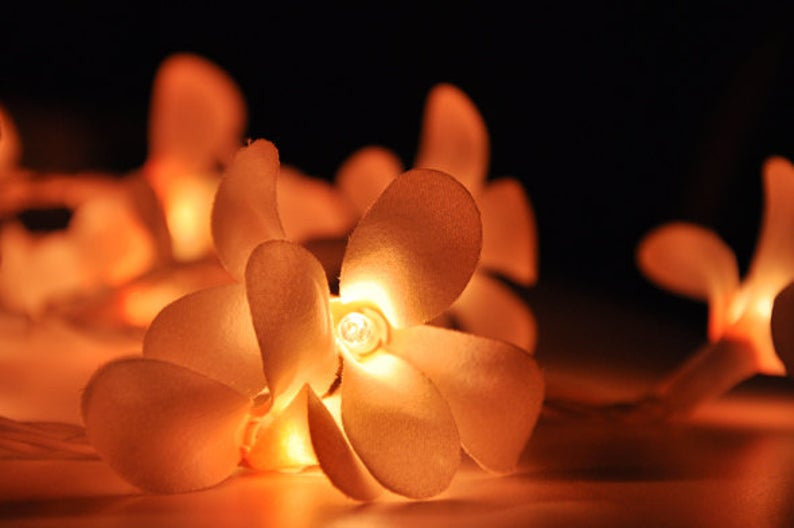 1 Set of 20 LED Orange Frangipani Flower Battery String Lights