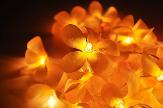 1 Set of 20 LED Orange Frangipani Flower Battery String Lights