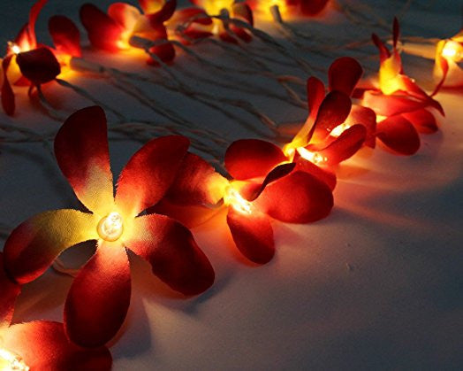 1 Set of 20 LED Deep Red Frangipani Flower Battery String Lights