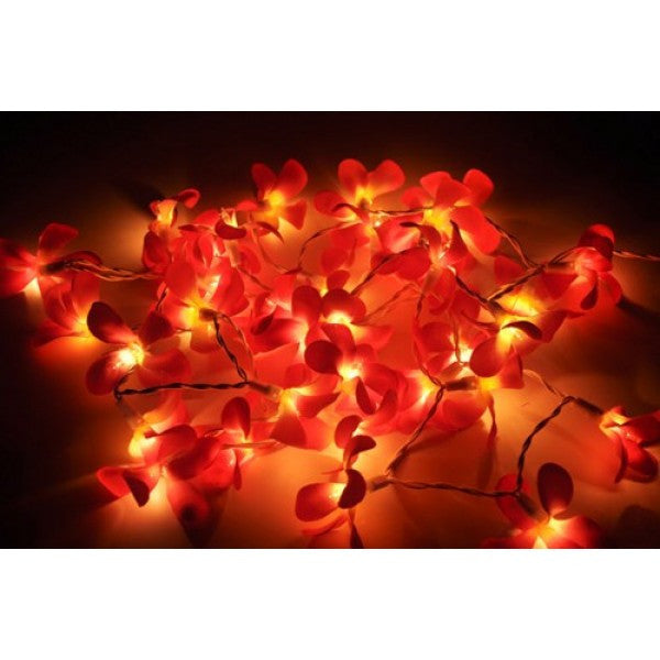 1 Set of 20 LED Deep Red Frangipani Flower Battery String Lights