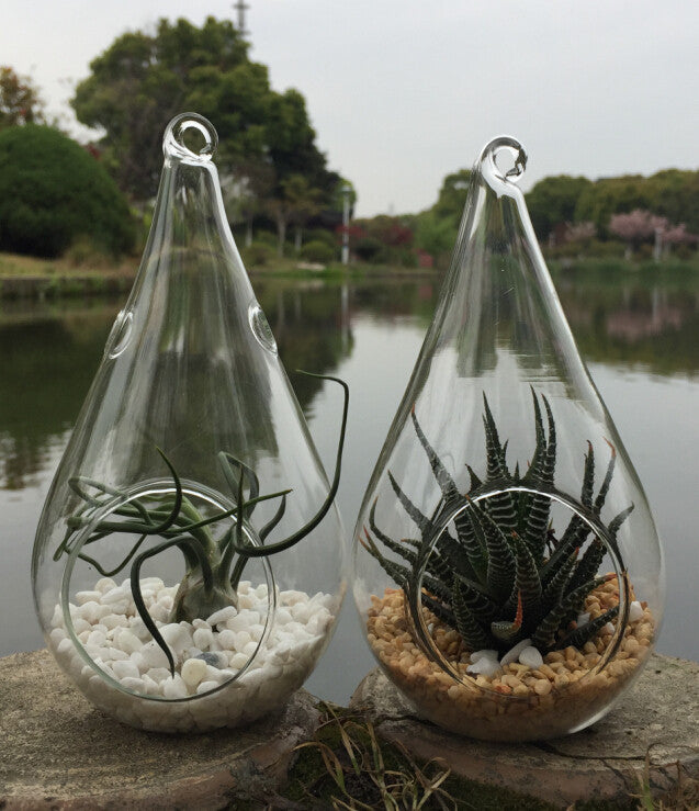 My Decorations Hanging Glass Teardrop Tealight Holders, 4 Pack