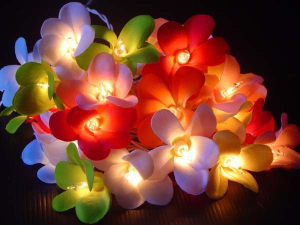 1 Set of 20 LED Tropical Bright Colous Frangipani Flower Battery