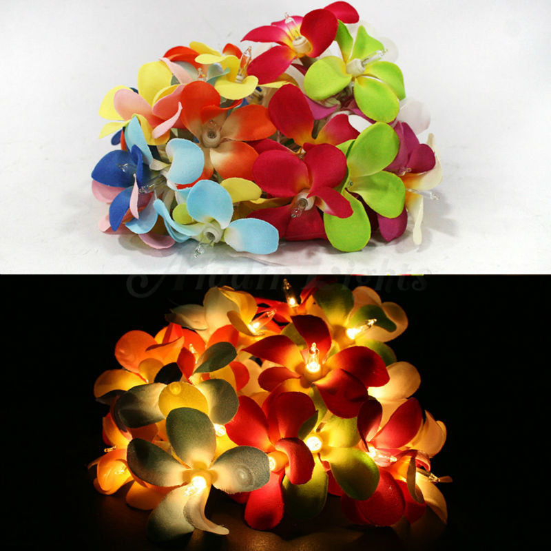 1 Set of 20 LED Tropical Bright Colous Frangipani Flower Battery