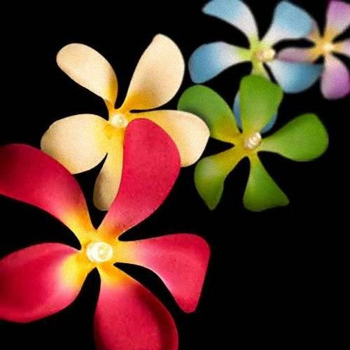 1 Set of 20 LED Tropical Bright Colous Frangipani Flower Battery