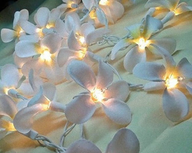 1 Set of 20 LED White Frangipani Flower Battery String Lights