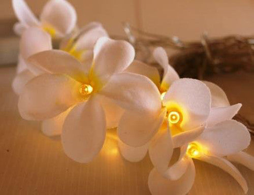 1 Set of 20 LED White Frangipani Flower Battery String Lights