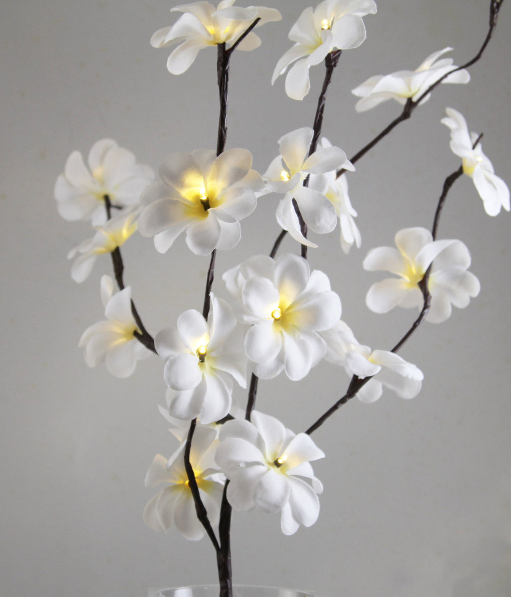 1 Set of 50cm H 20 LED White Frangipani Tree Branch Stem Fairy Light