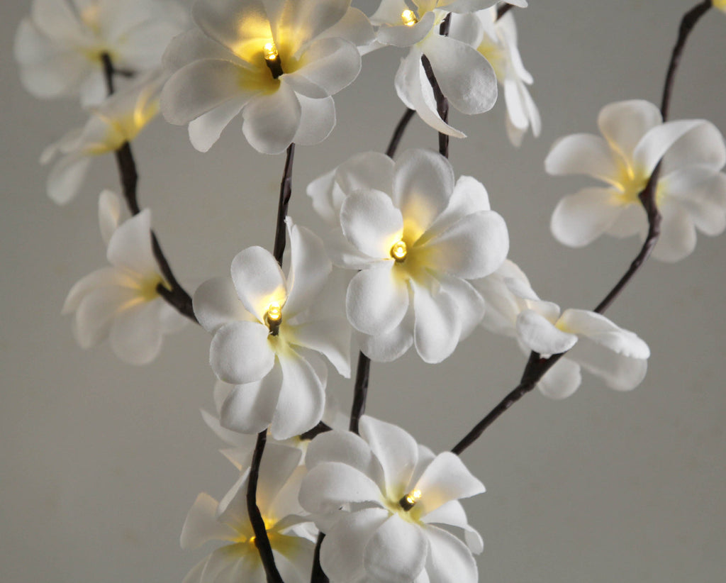 1 Set of 50cm H 20 LED White Frangipani Tree Branch Stem Fairy Light