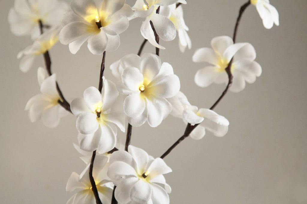 1 Set of 50cm H 20 LED White Frangipani Tree Branch Stem Fairy Light
