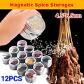 Magnetic Stainless Steel Spice Jars with Clear Lids, Set of 12