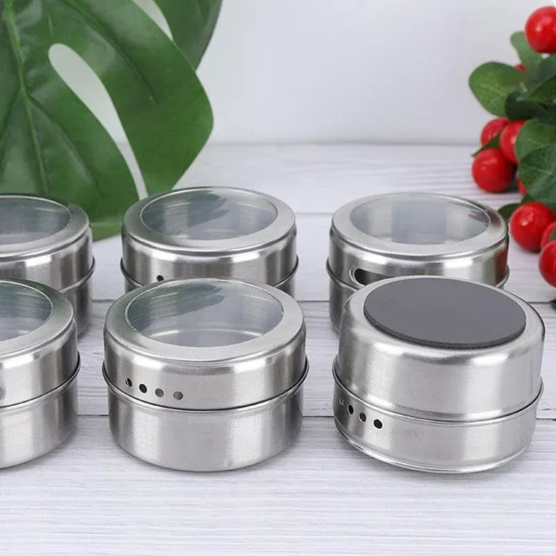 Magnetic Stainless Steel Spice Jars with Clear Lids, Set of 12