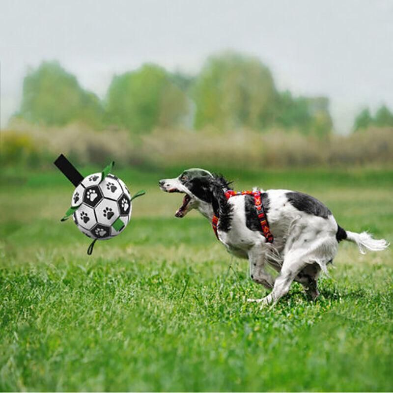 Interactive Pet Football Dog Toys Grab Tabs Outdoor Training Soccer