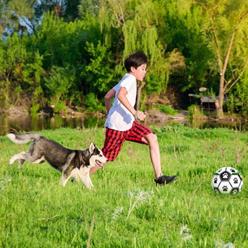 Interactive Pet Football Dog Toys Grab Tabs Outdoor Training Soccer
