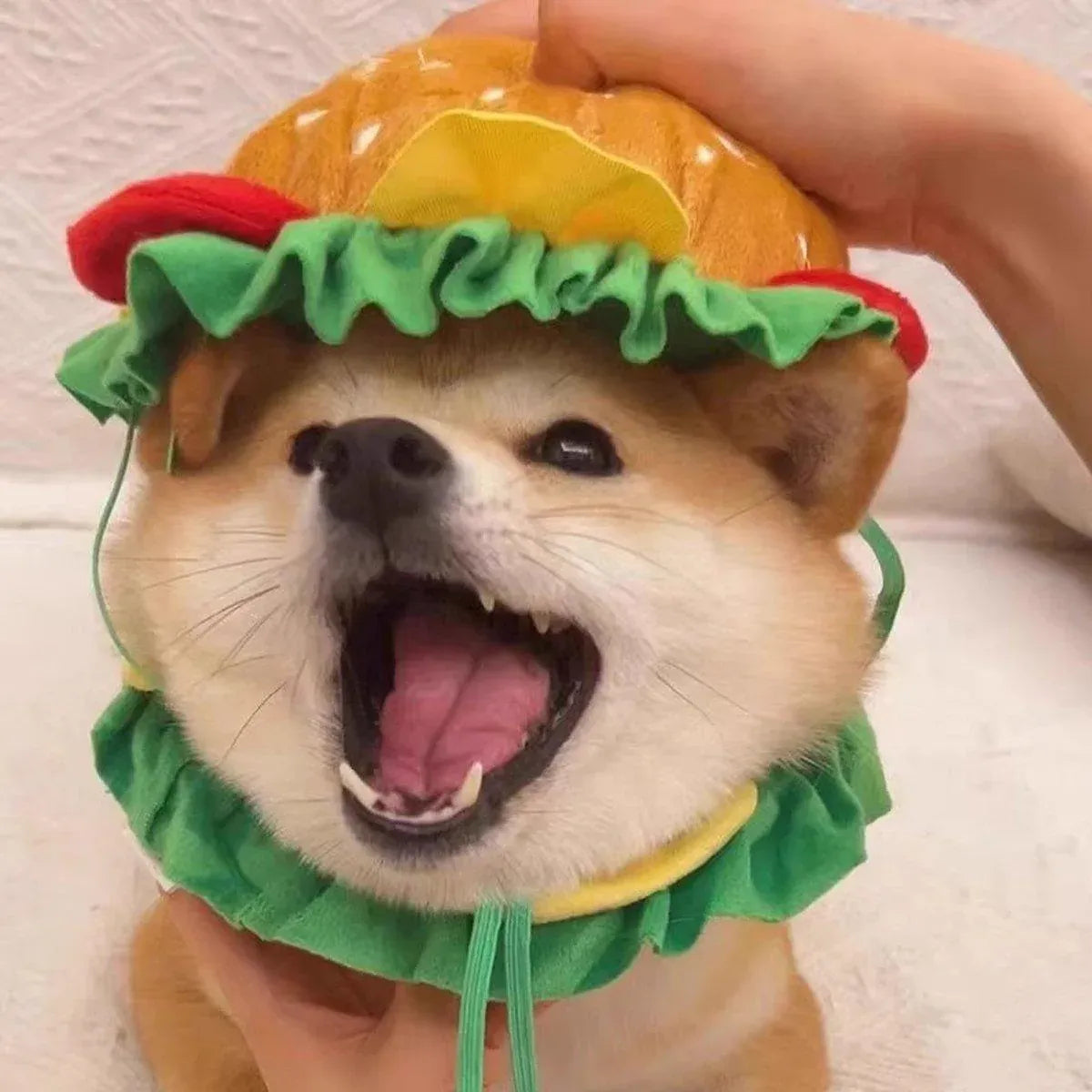 Cute Pet Hamburger Headgear Headdress