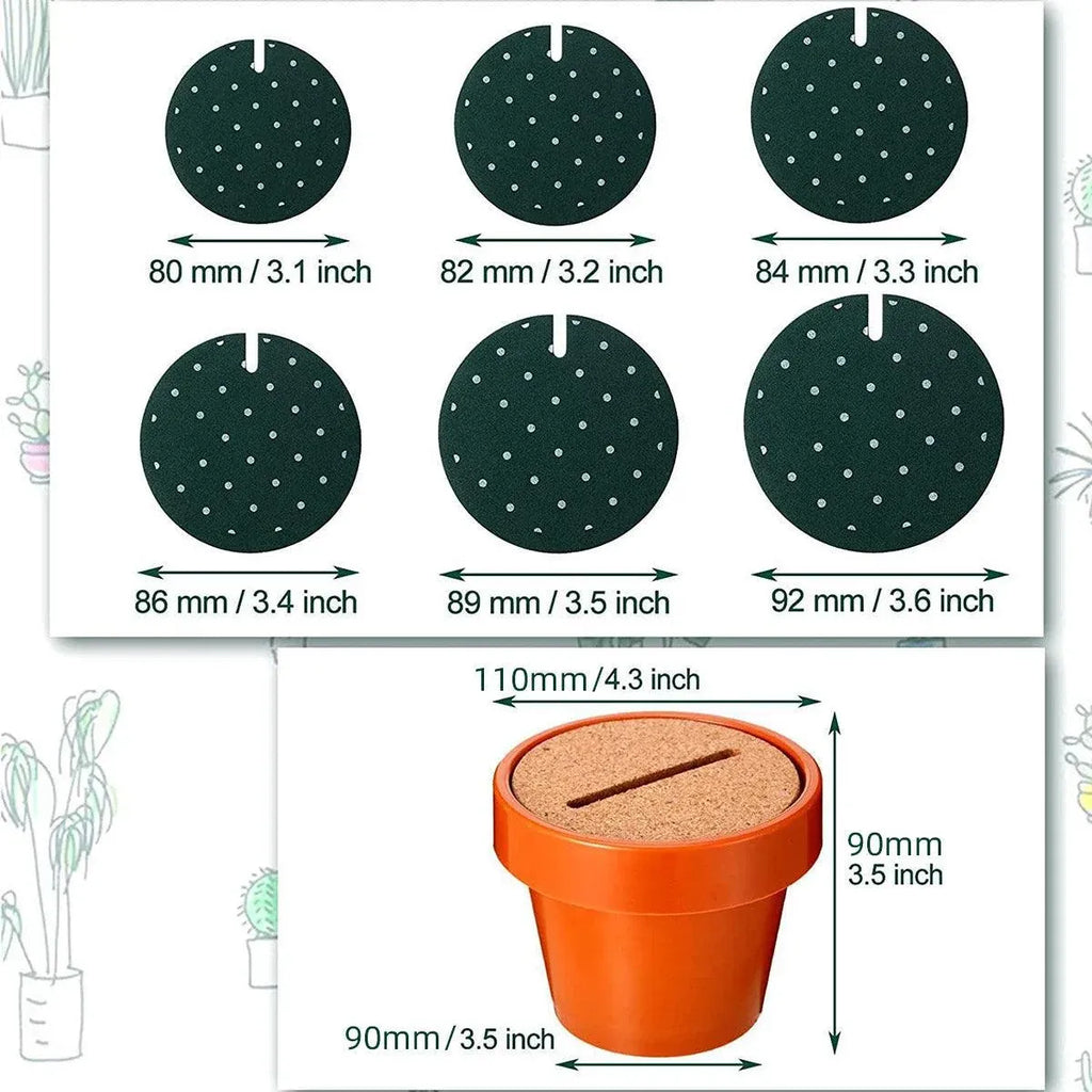 DIY Cactus Coaster Set with Pot